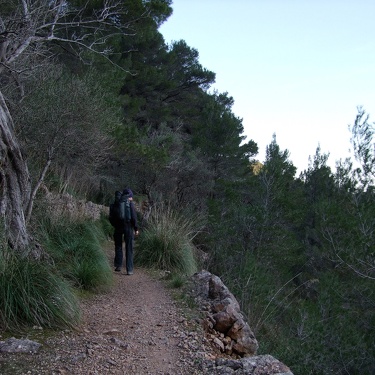 2012 - Mallorca